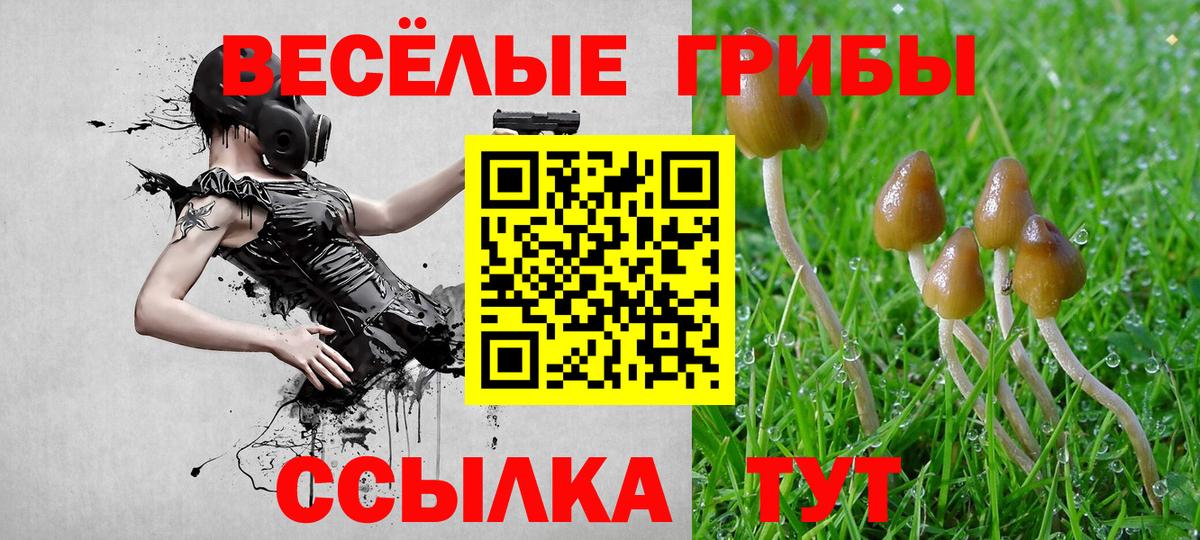 Галлюциногенные грибы Magic Shrooms Калуга