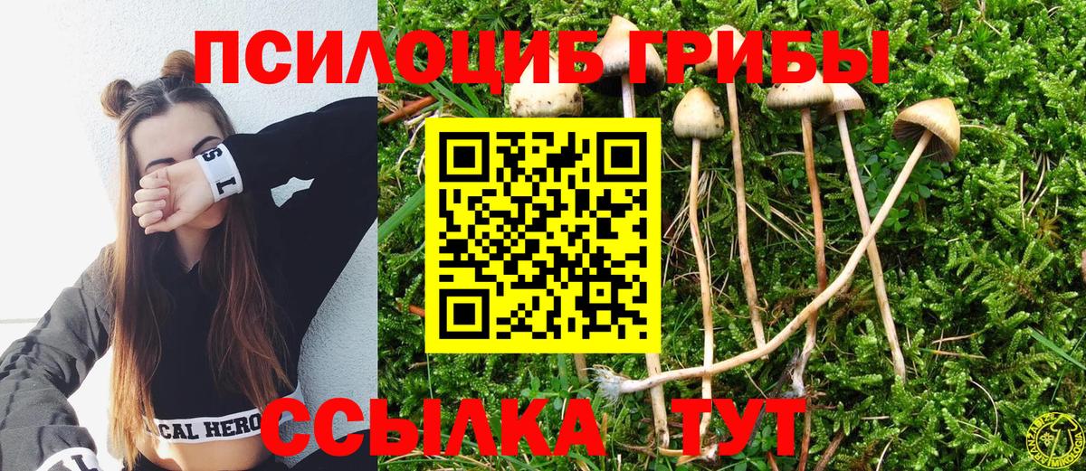 Галлюциногенные грибы Cubensis  Вход с VPN  Галлюциногенные грибы MAGIC MUSHROOMS  Калуга 